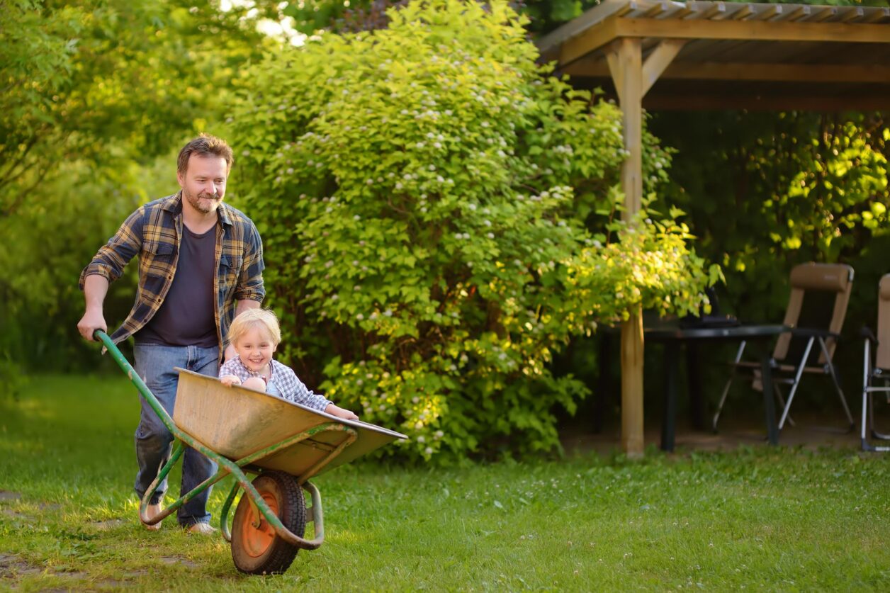 father pushing son in wheelbarrow4