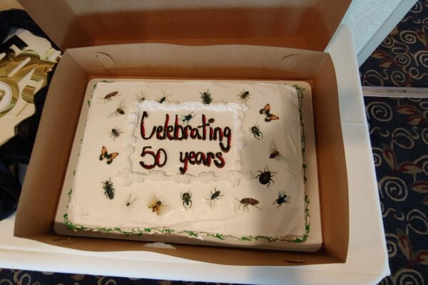 celebrating-50-years-cake