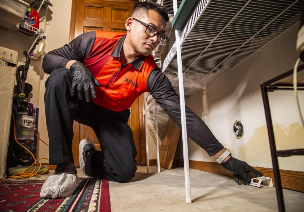 Home Pest Control in Minnesota