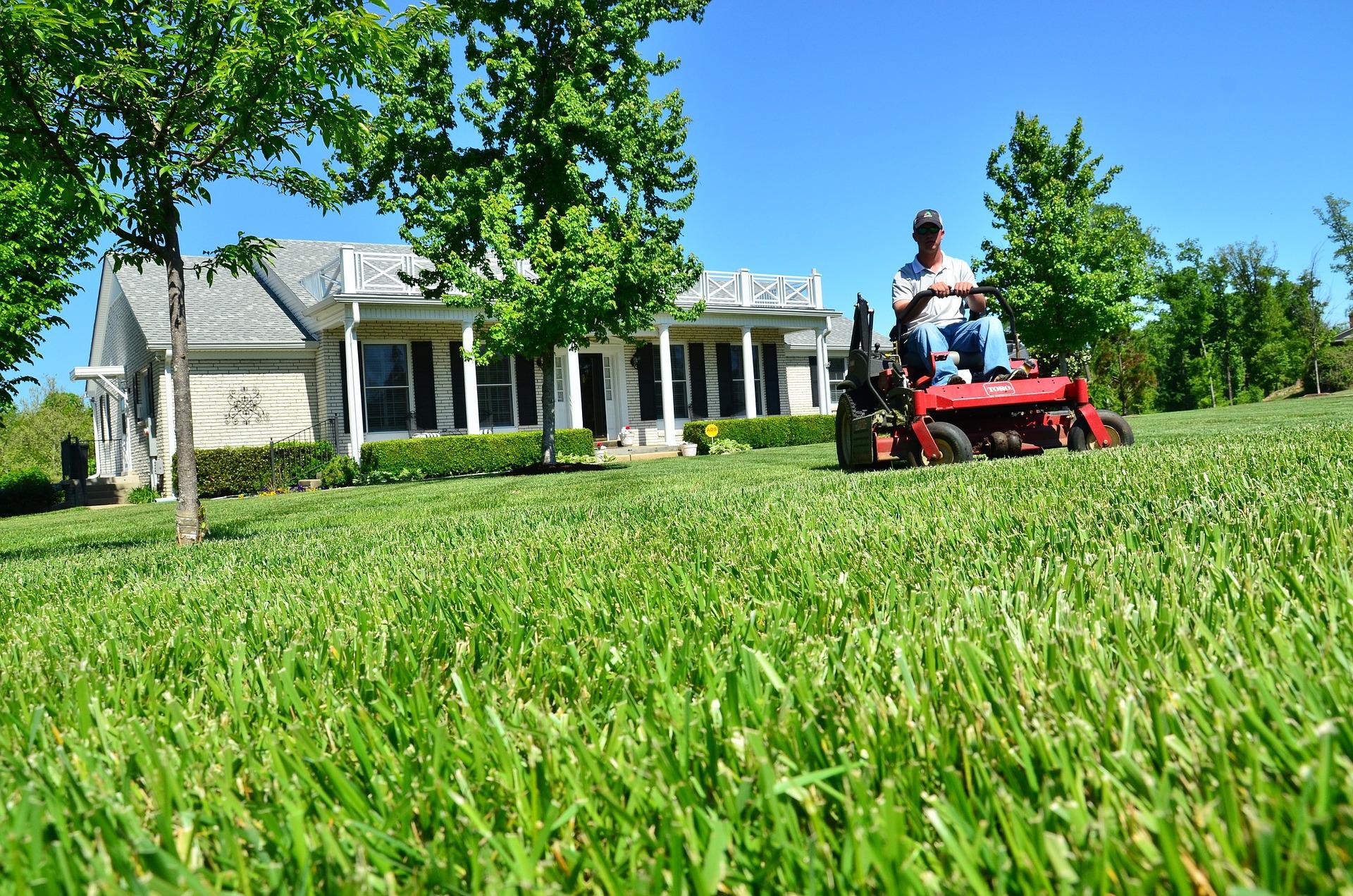 Mowing the lawn