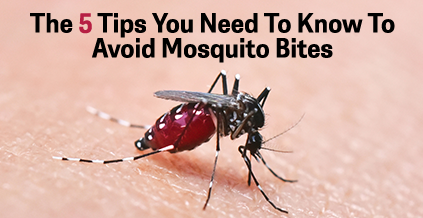 The 5 Tips You Need To Know To Avoid Mosquito Bites