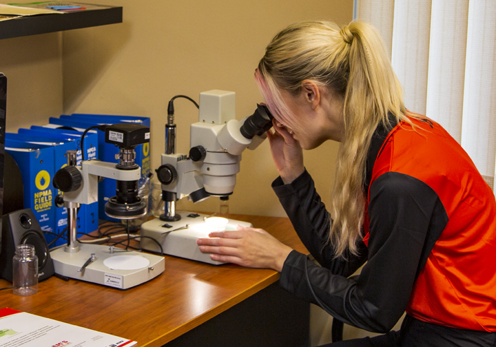 Technician looking through microscope