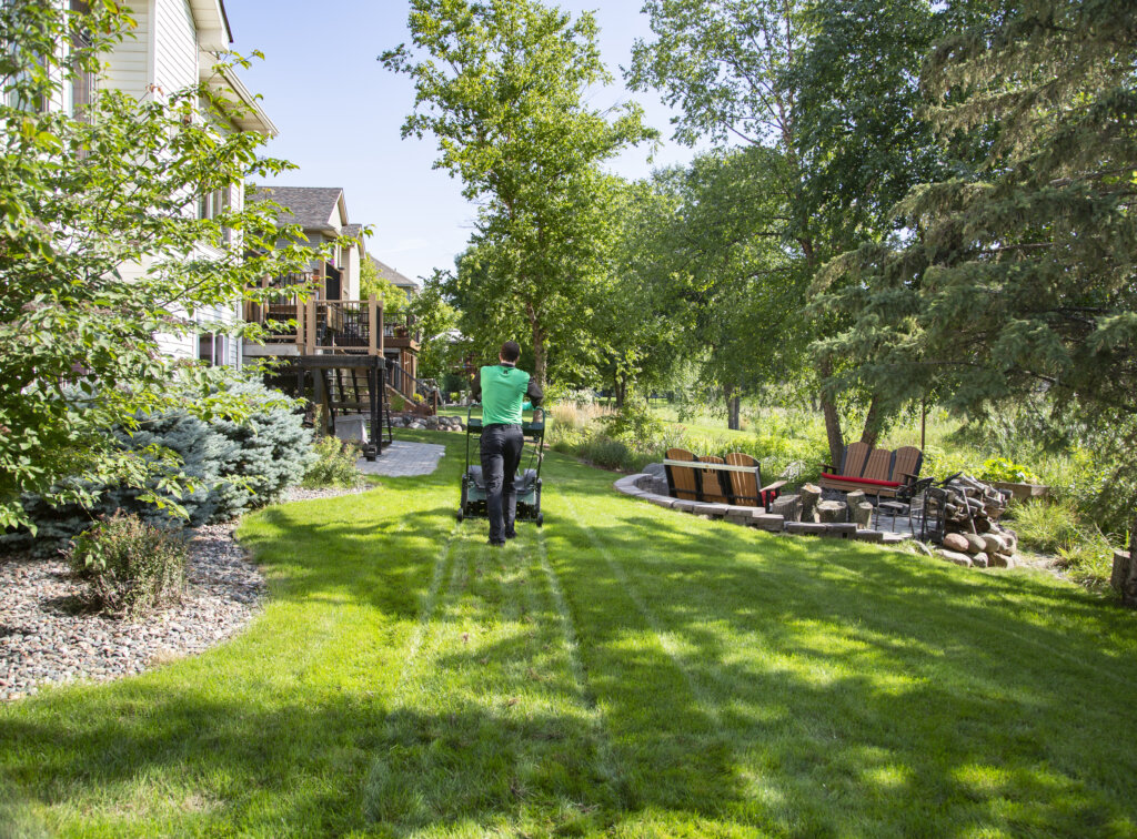 Professional Lawn Care Services in Medina MN