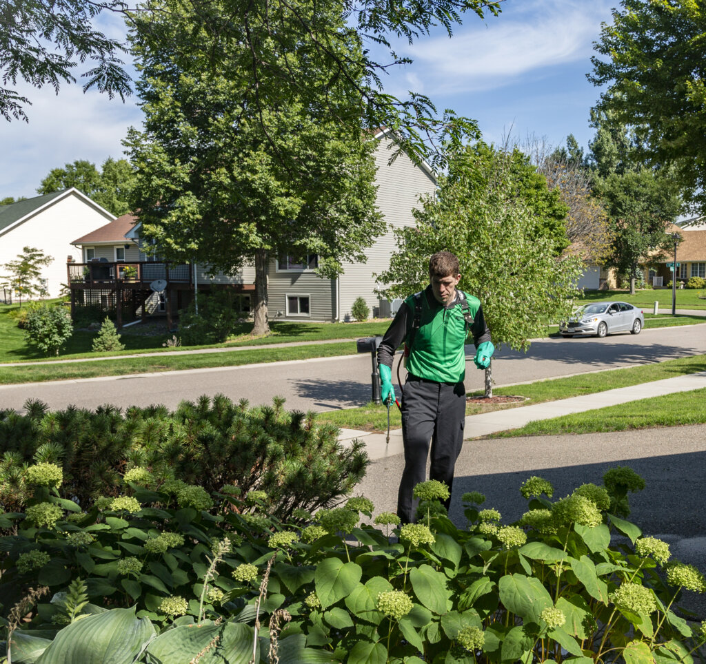 Lawn Care Services in Nisswa MN