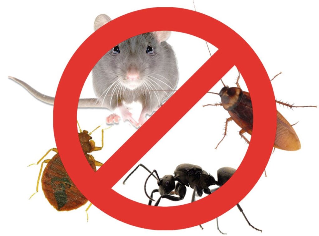 Image of a variety of pests with international symbol for No.