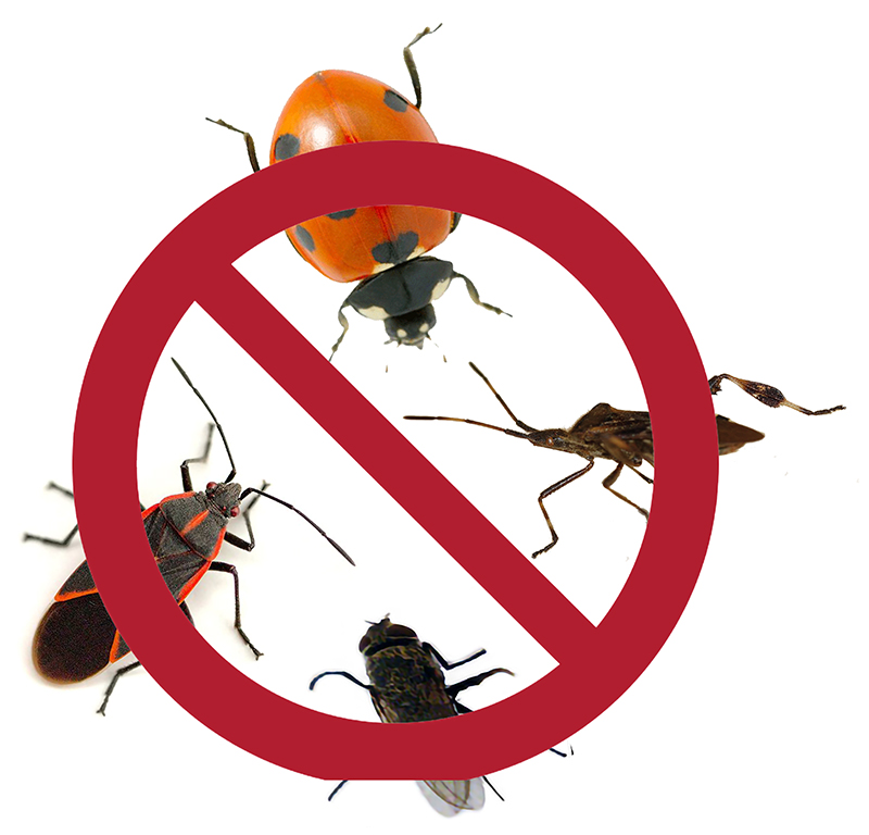 image of common fall pests with the international symbol for NO