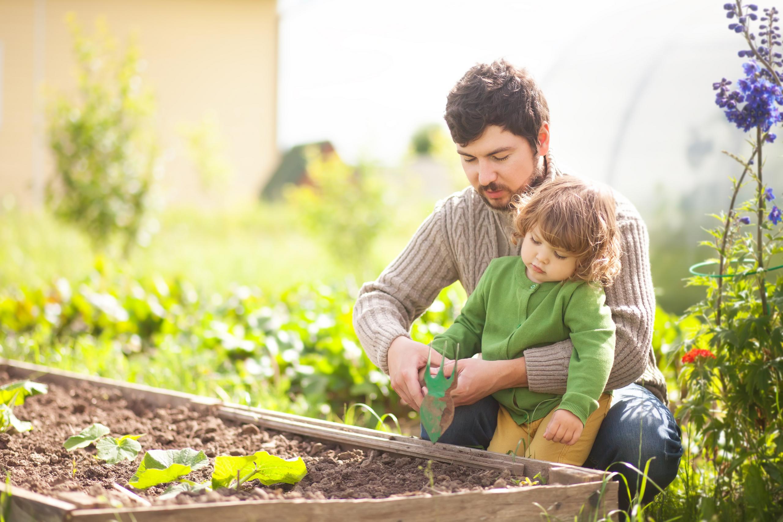 man and child gardening